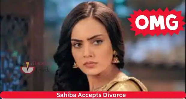 Teri Meri Doriyaann: Upcoming Story! Sahiba Accepts Divorce